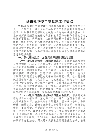 供销社党委年度党建工作要点