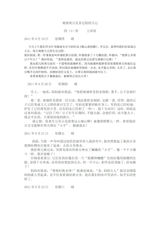 观察黄豆发芽过程的日记