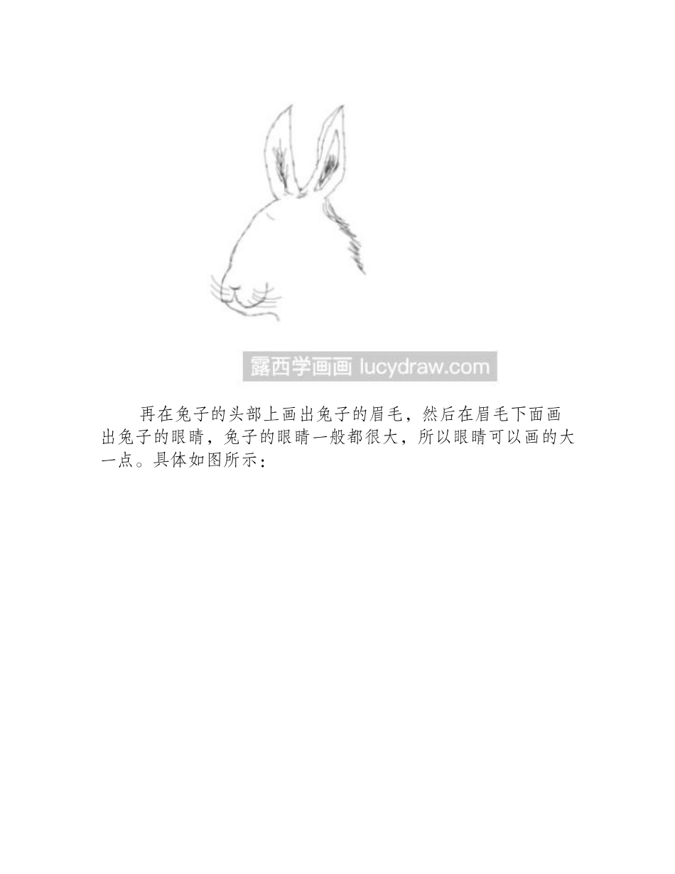 可爱的兔子素描画怎么画_素描教程1_第2页