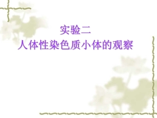 观察人类性染色质