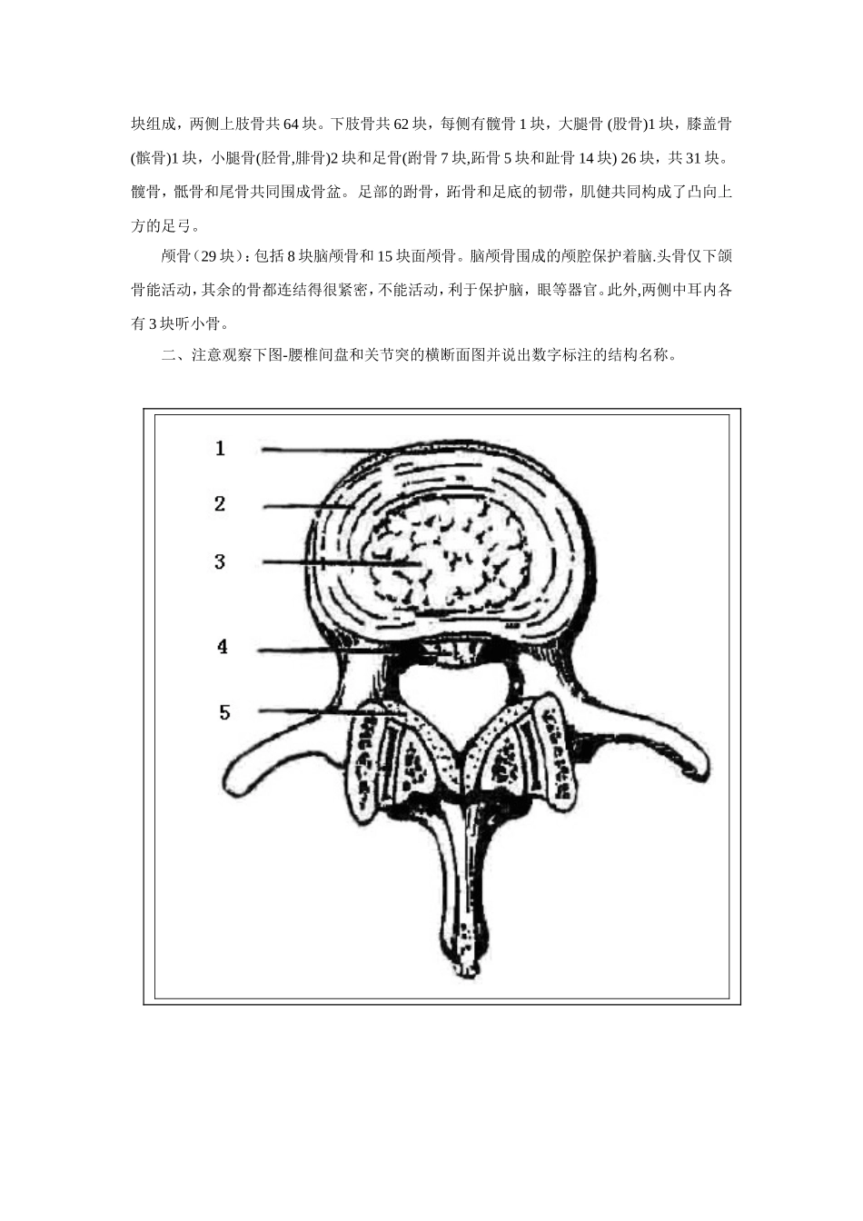 解剖学图片复习资料-骨骼_第2页