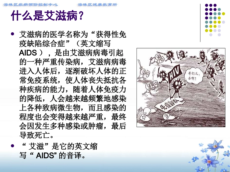 青少年预防艾滋病知识讲座(中学生)2010年统一课件(压)1_第2页