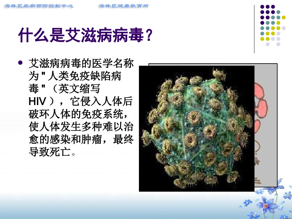 青少年预防艾滋病知识讲座(中学生)2010年统一课件(压)1_第3页
