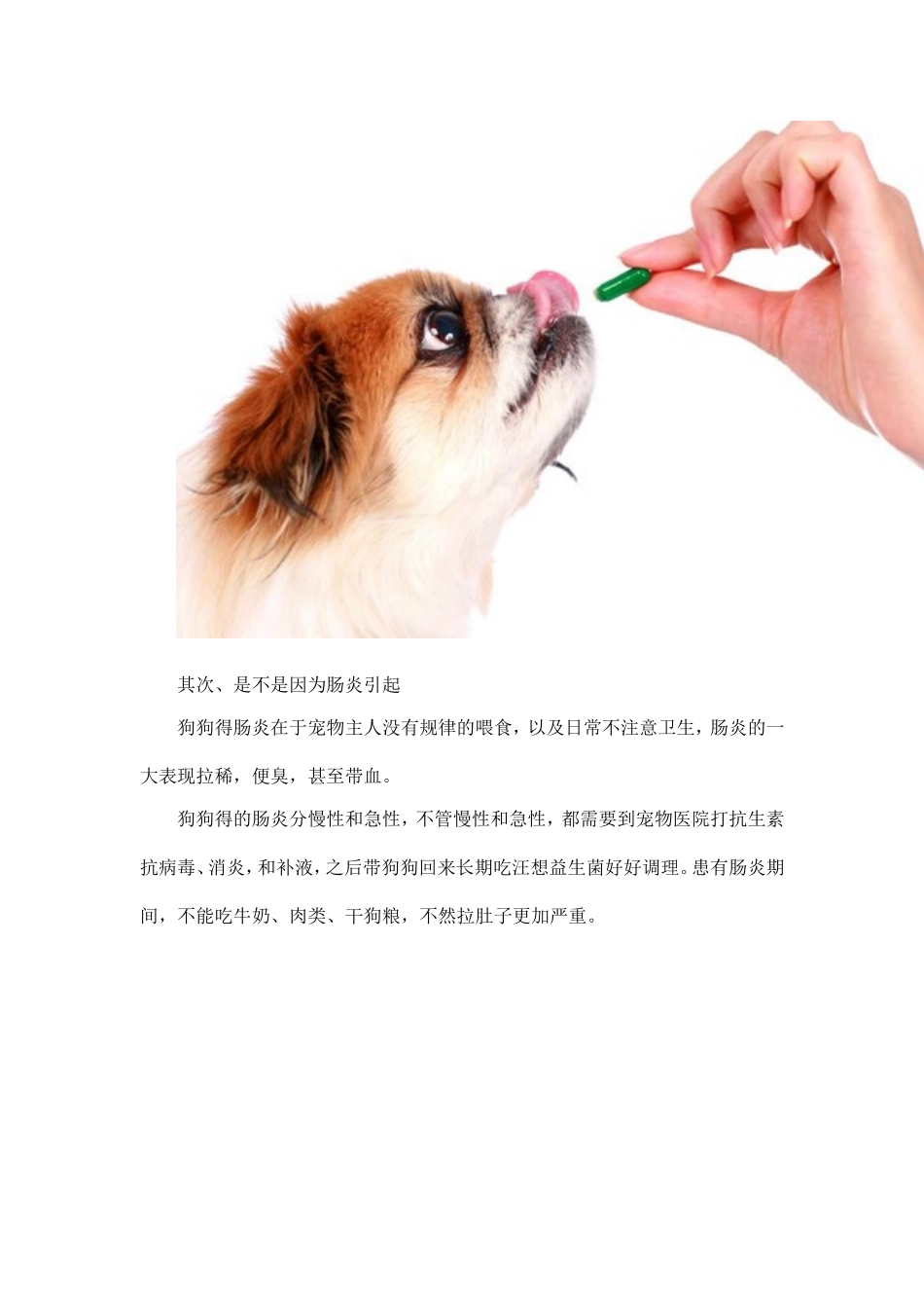 狗狗拉稀带血怎么办_第2页