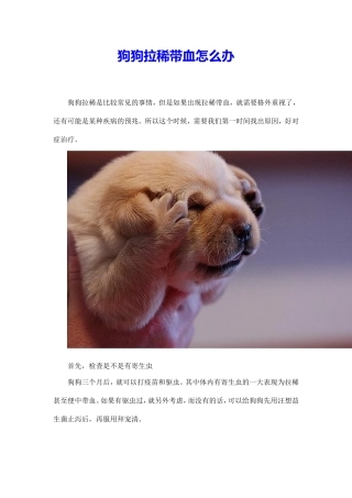 狗狗拉稀带血怎么办