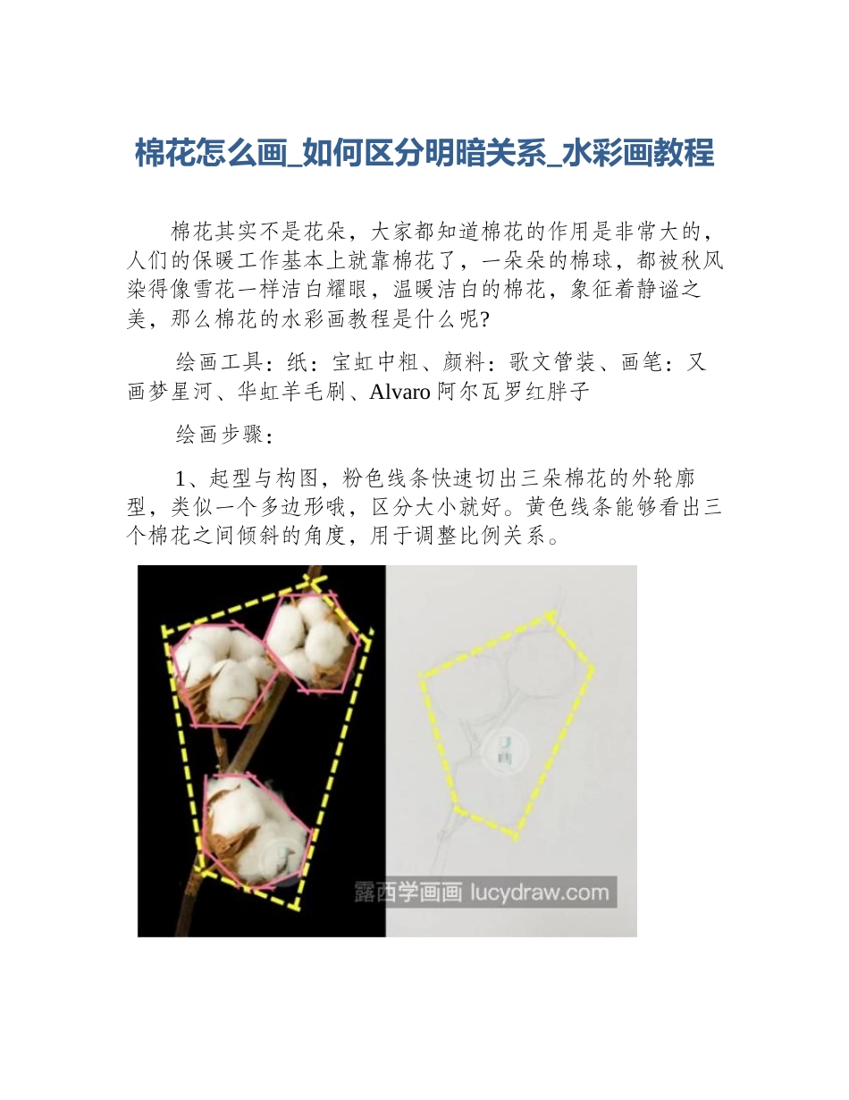 棉花怎么画_如何区分明暗关系_水彩画教程_第1页