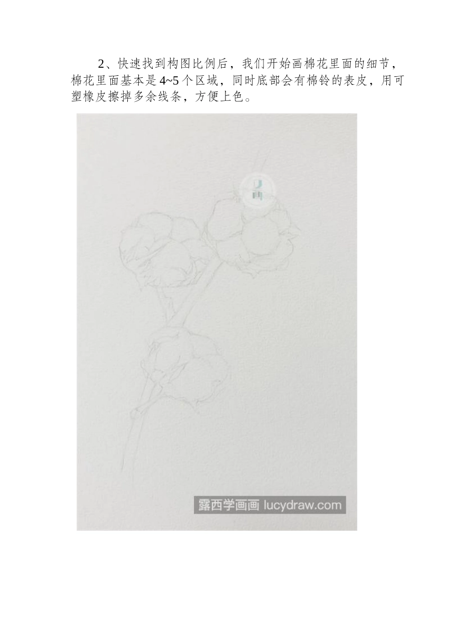 棉花怎么画_如何区分明暗关系_水彩画教程_第2页