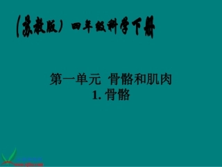 骨骼基础知识