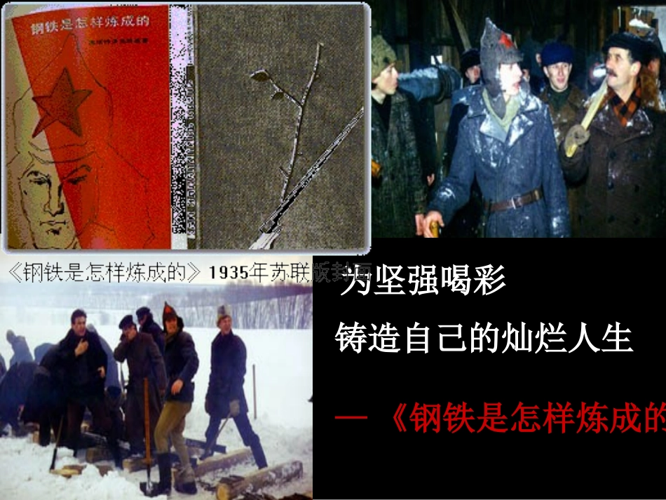 钢铁是怎样炼成的_第3页