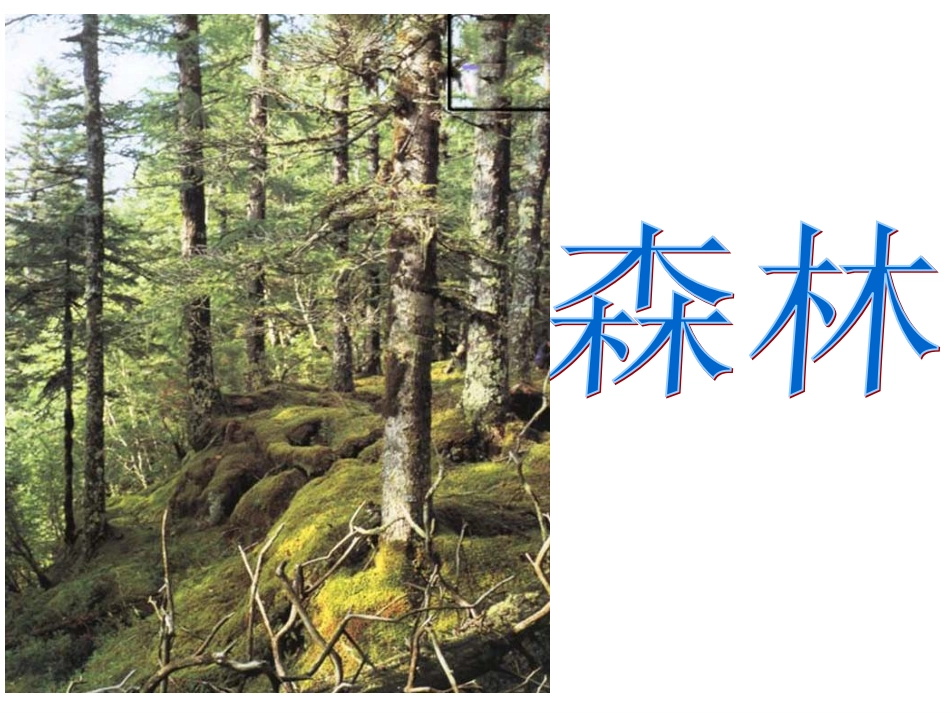 小熊住山洞 (3)_第2页