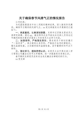 关于确保春节风清气正的情况报告