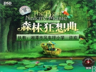 森林狂想曲2