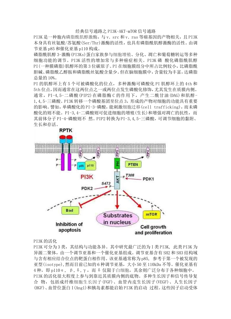 经典信号通路之PI3K-AKT-mTOR信号通路_第1页