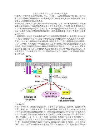 经典信号通路之PI3K-AKT-mTOR信号通路