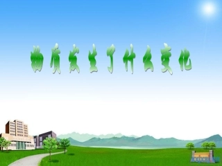 教科版小学科学六年级下册第二单元《物质发生了什么变化》PPT课件