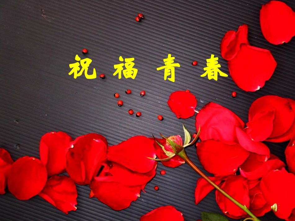 [名校联盟]福建省福清西山学校2013-2014学年七年级上学期政治《祝福青春》课件_第1页