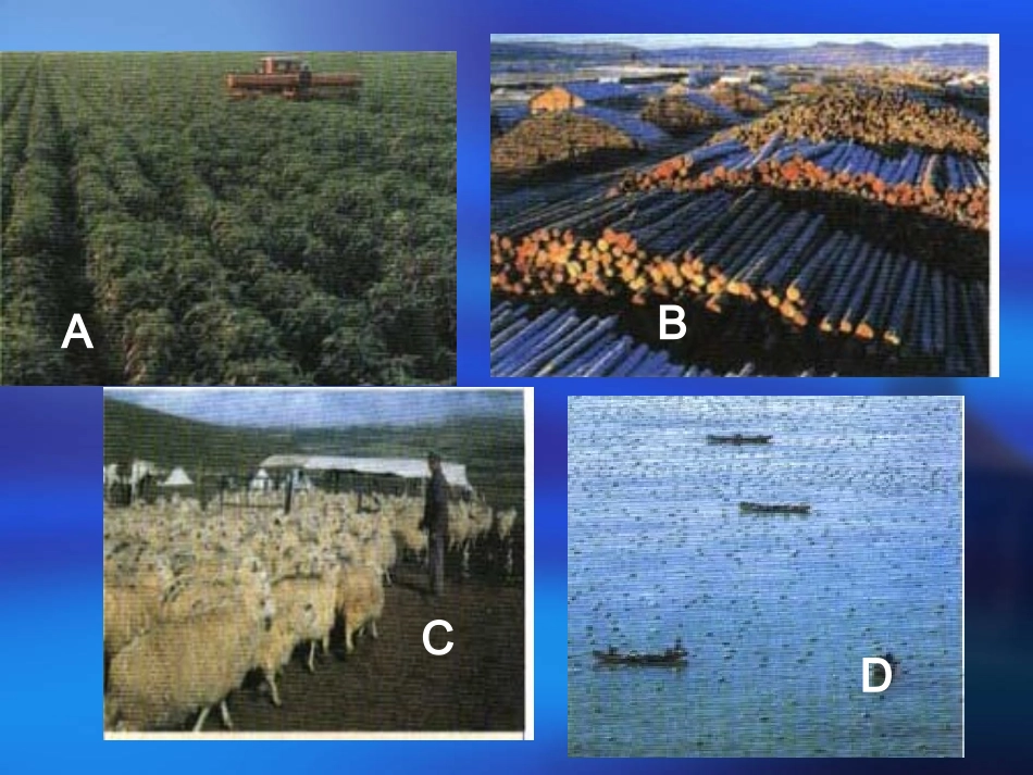 因地制宜发展农业good_第3页