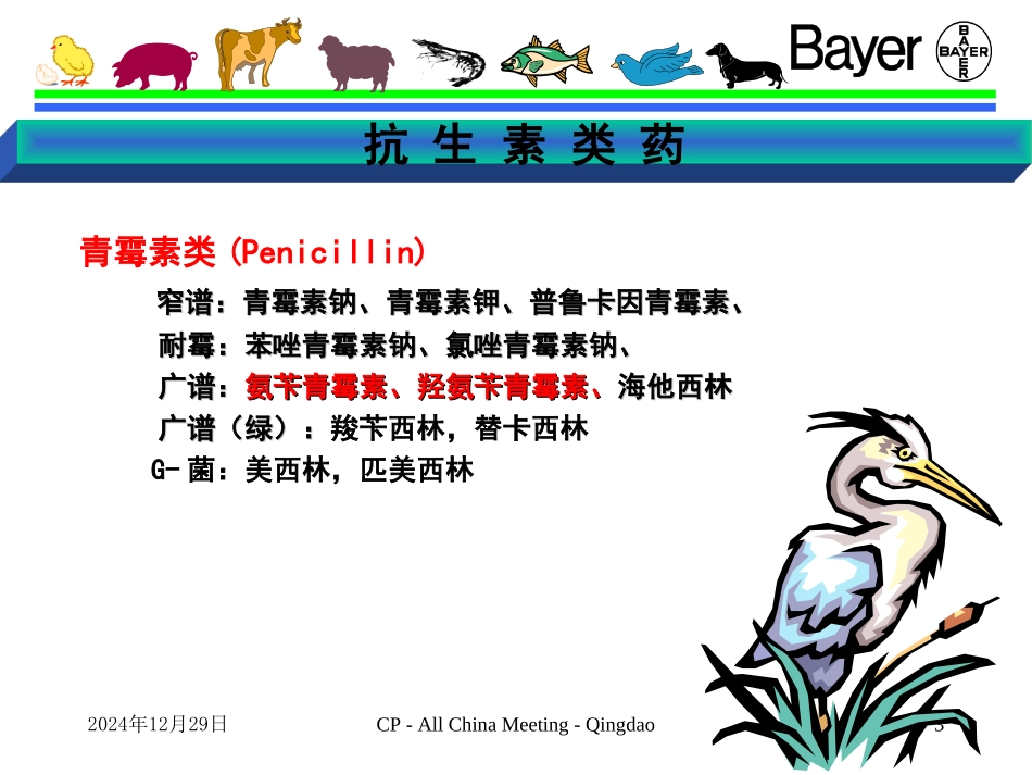 抗微生物药物_第3页