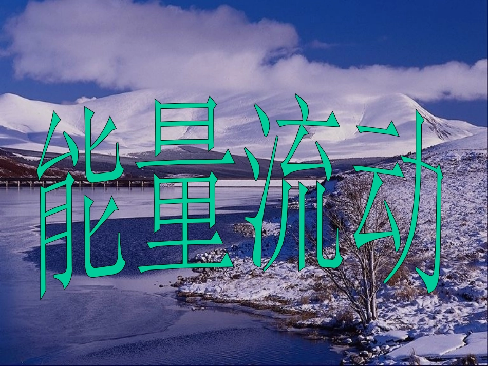 生态系统的能量流动和物质循环1_第2页