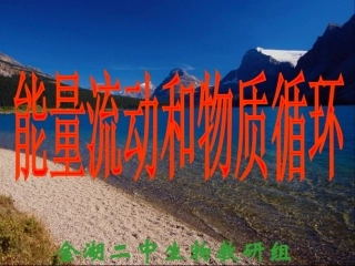 生态系统的能量流动和物质循环1