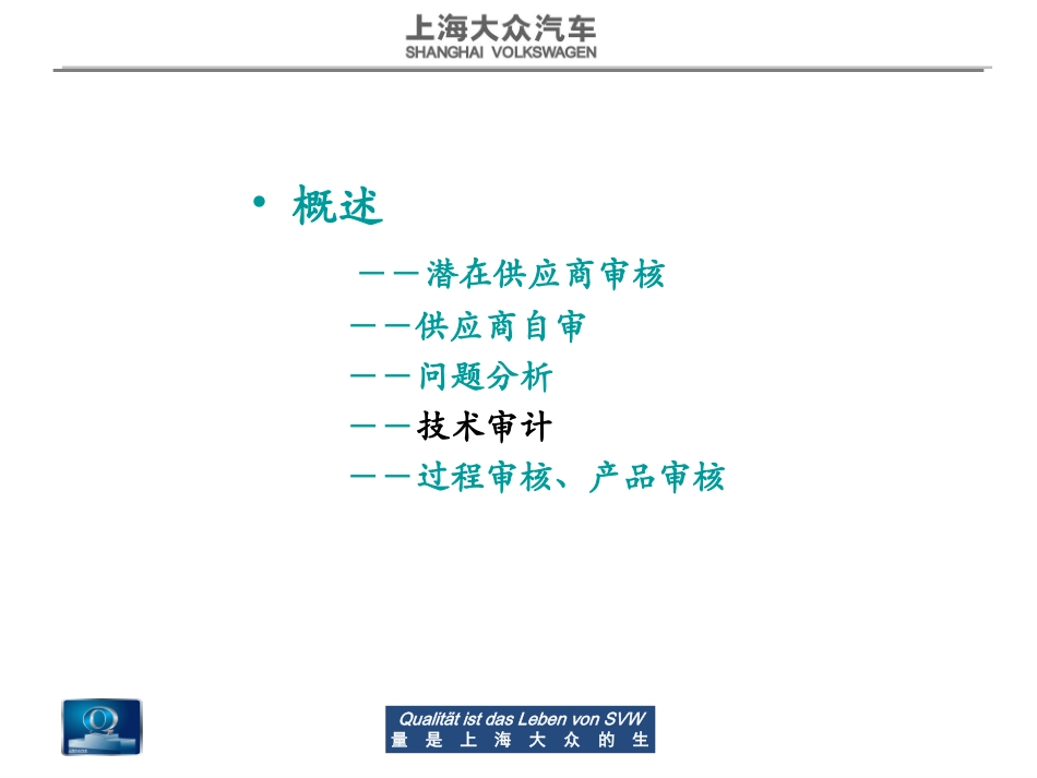 供应商技术审计资料_第1页