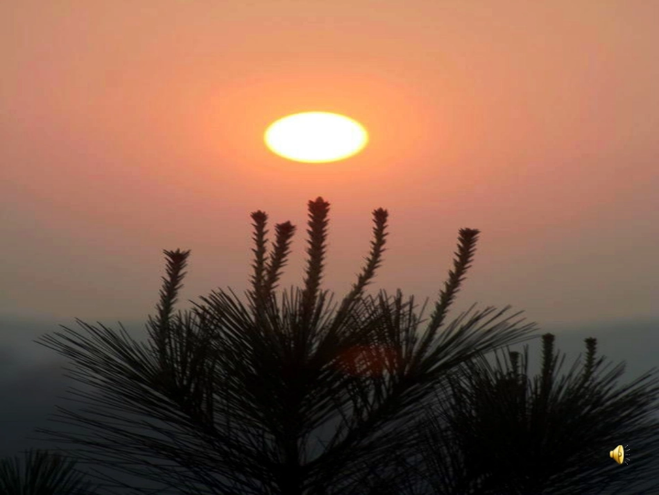 夕阳真美可用_第2页