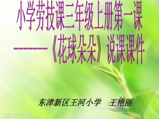 《花球朵朵》说课课件123