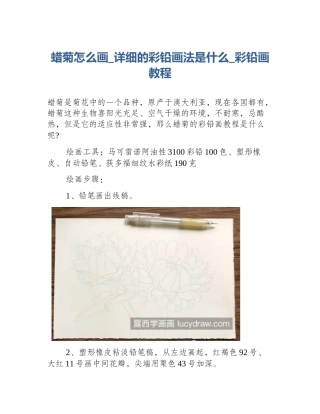 蜡菊怎么画_详细的彩铅画法是什么_彩铅画教程