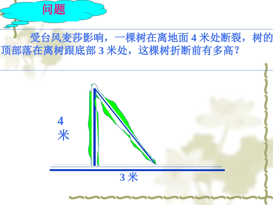 勾股定理1（华师大版）_第3页