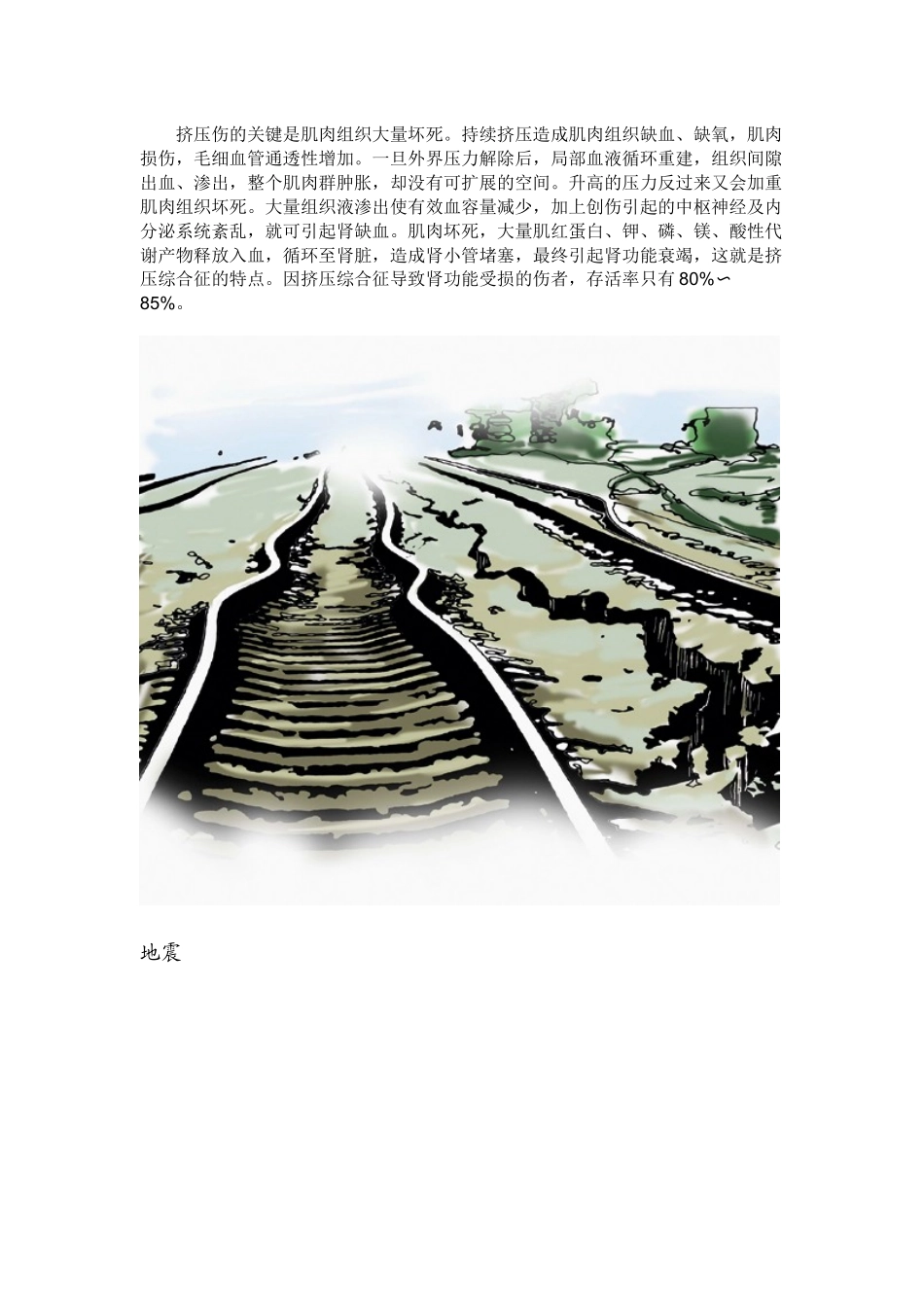 挤压伤的现场急救_第2页