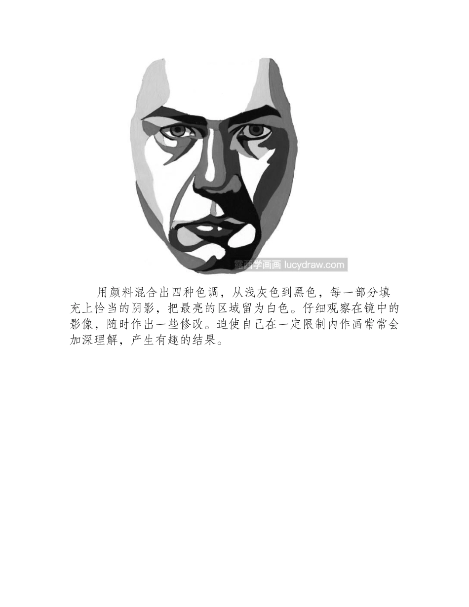 脸部平面图速写教程速写教程_第2页