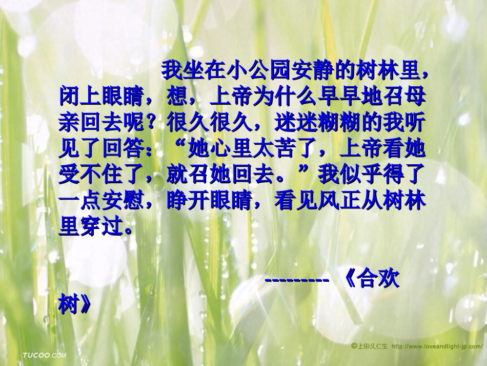 《秋天的怀念》教学配套用课件_第3页