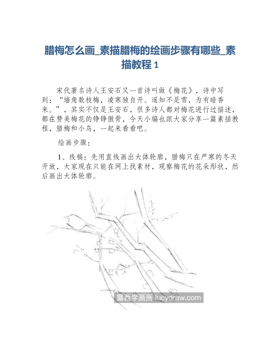 腊梅怎么画_素描腊梅的绘画步骤有哪些_素描教程1_第1页