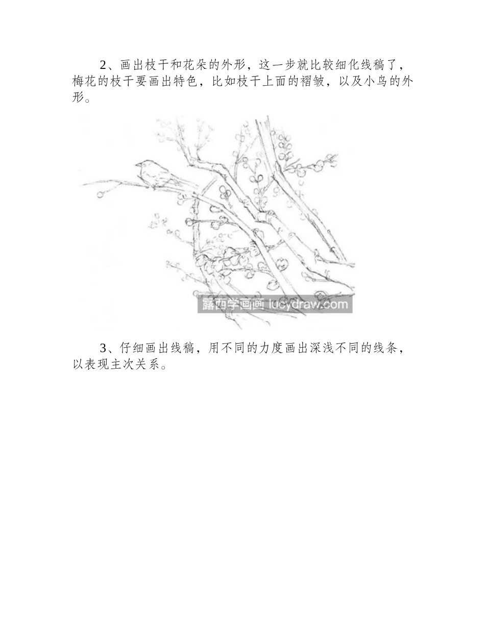 腊梅怎么画_素描腊梅的绘画步骤有哪些_素描教程1_第2页