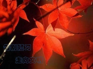 告别陋习,争创文明 主题班会