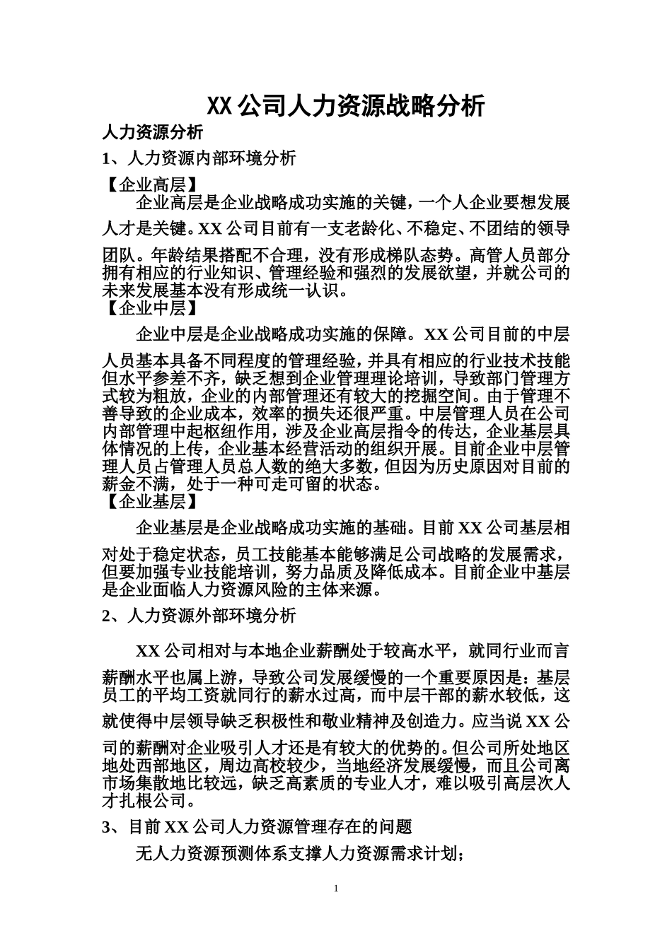 公司人力资源战略分析_第1页