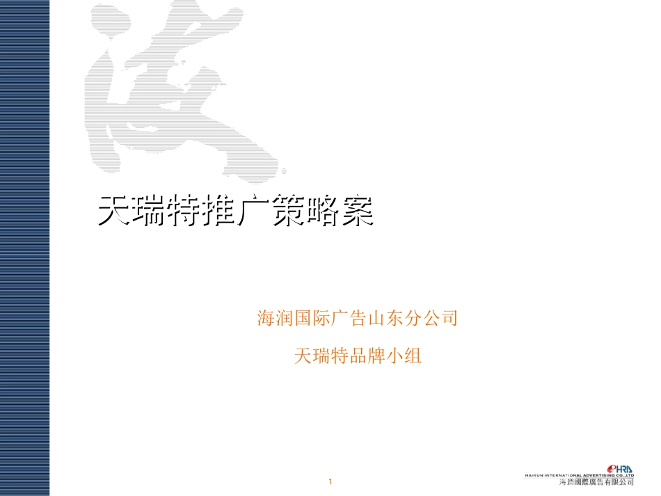 海润国际-海尔天瑞特推广策略案_第1页