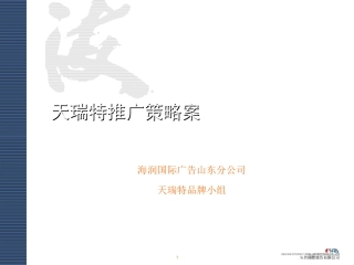 海润国际-海尔天瑞特推广策略案