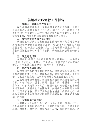 供销社双线运行工作报告