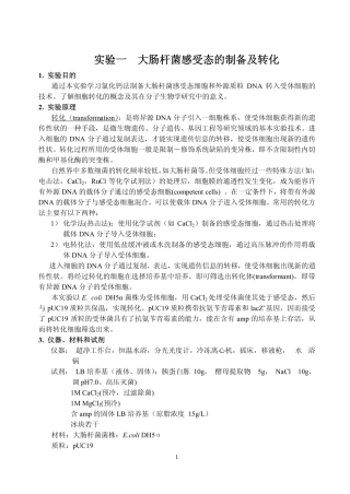 基因工程实验指导