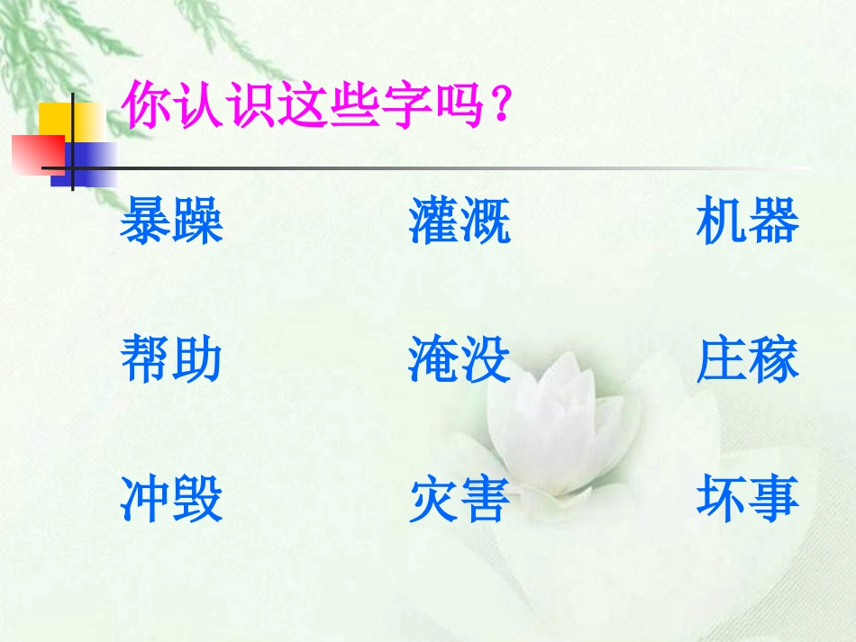 《我是什么》课件(语文S版二年级语文上册课件)_第3页