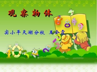 王会霞观察物体