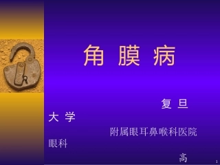 角  膜  病