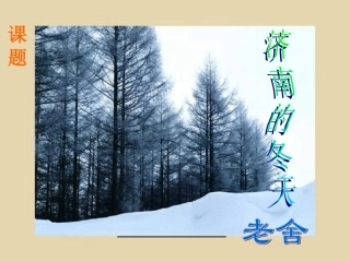济南的冬天 (4)