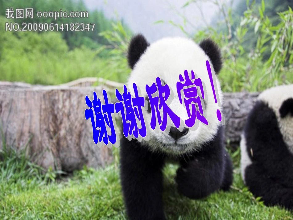 国宝大熊猫——超链接_第3页