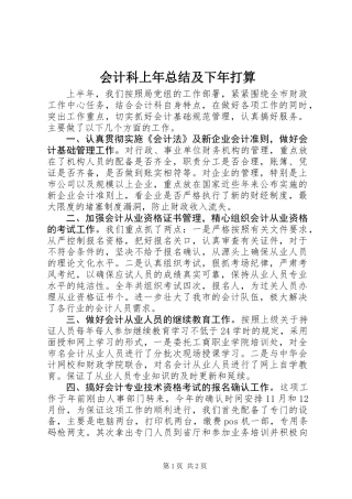 会计科上年总结及下年打算