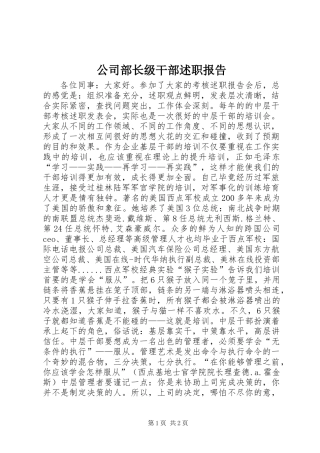 公司部长级干部述职报告