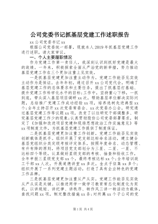 公司党委书记抓基层党建工作述职报告 (2)