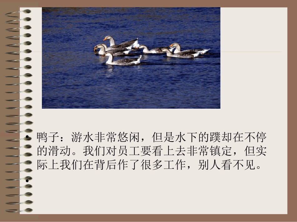 绩效管理与绩效目标分解-GEC_第3页