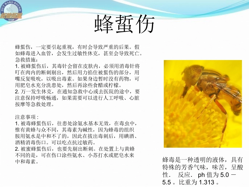 户外急救知识(必备)_第2页